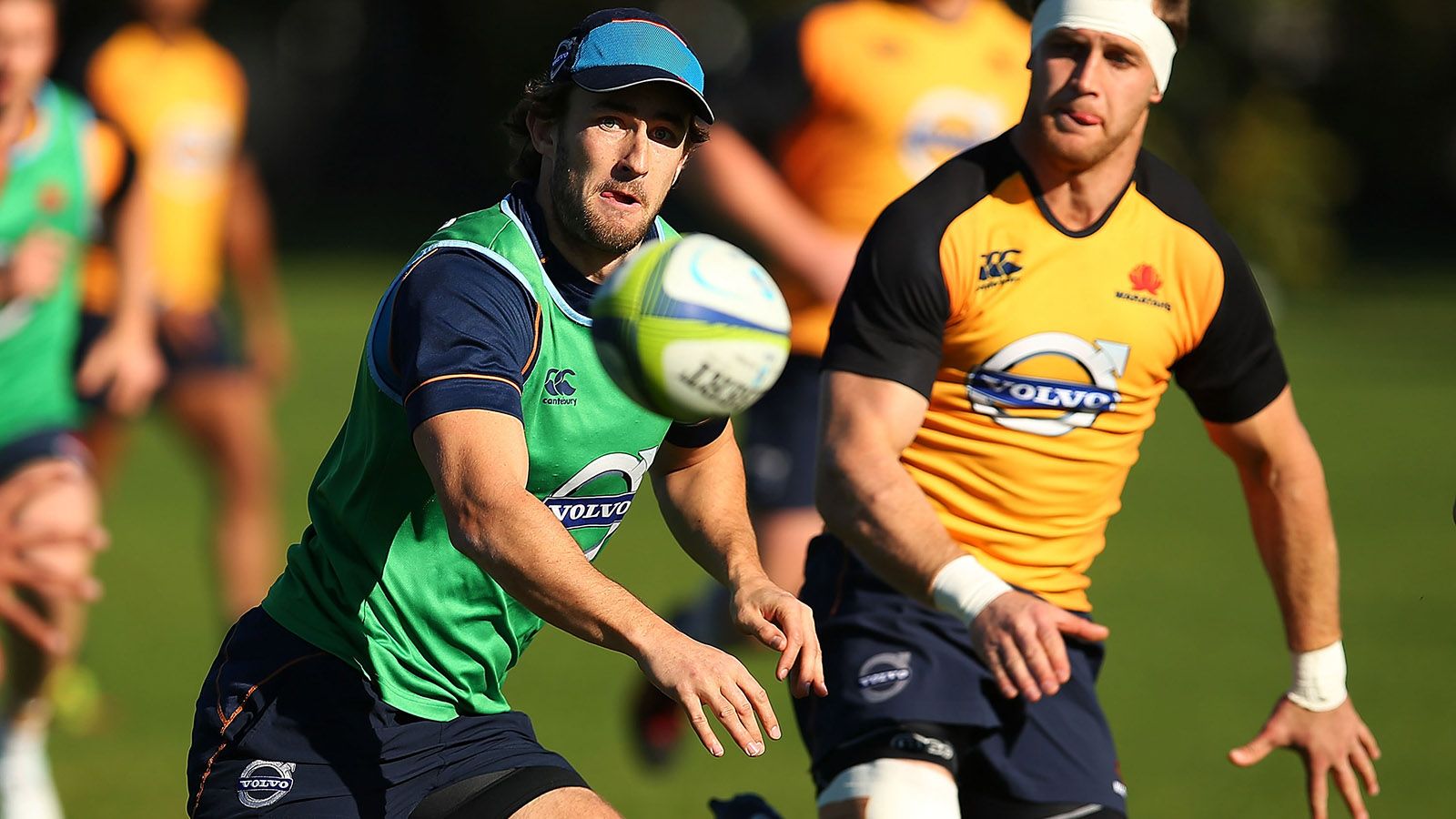 WARATAHS, POR EL T�TULO