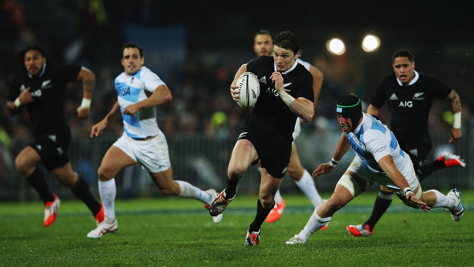 SIGAMOS REMONTANDO VUELO...