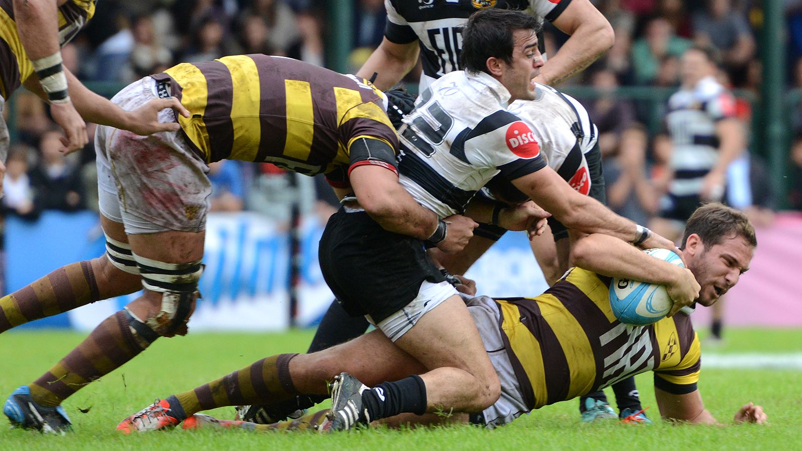 BELGRANO ES EL TAPADO