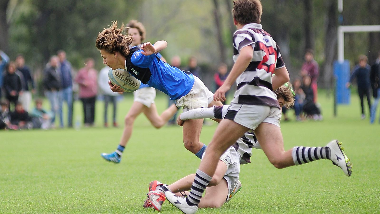 M�S QUE ACAD�MICO, UNIVERSITARIO