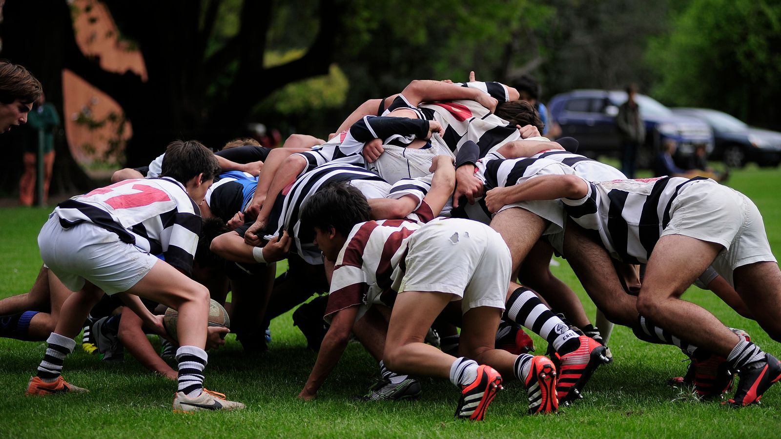 M�S QUE ACAD�MICO, UNIVERSITARIO