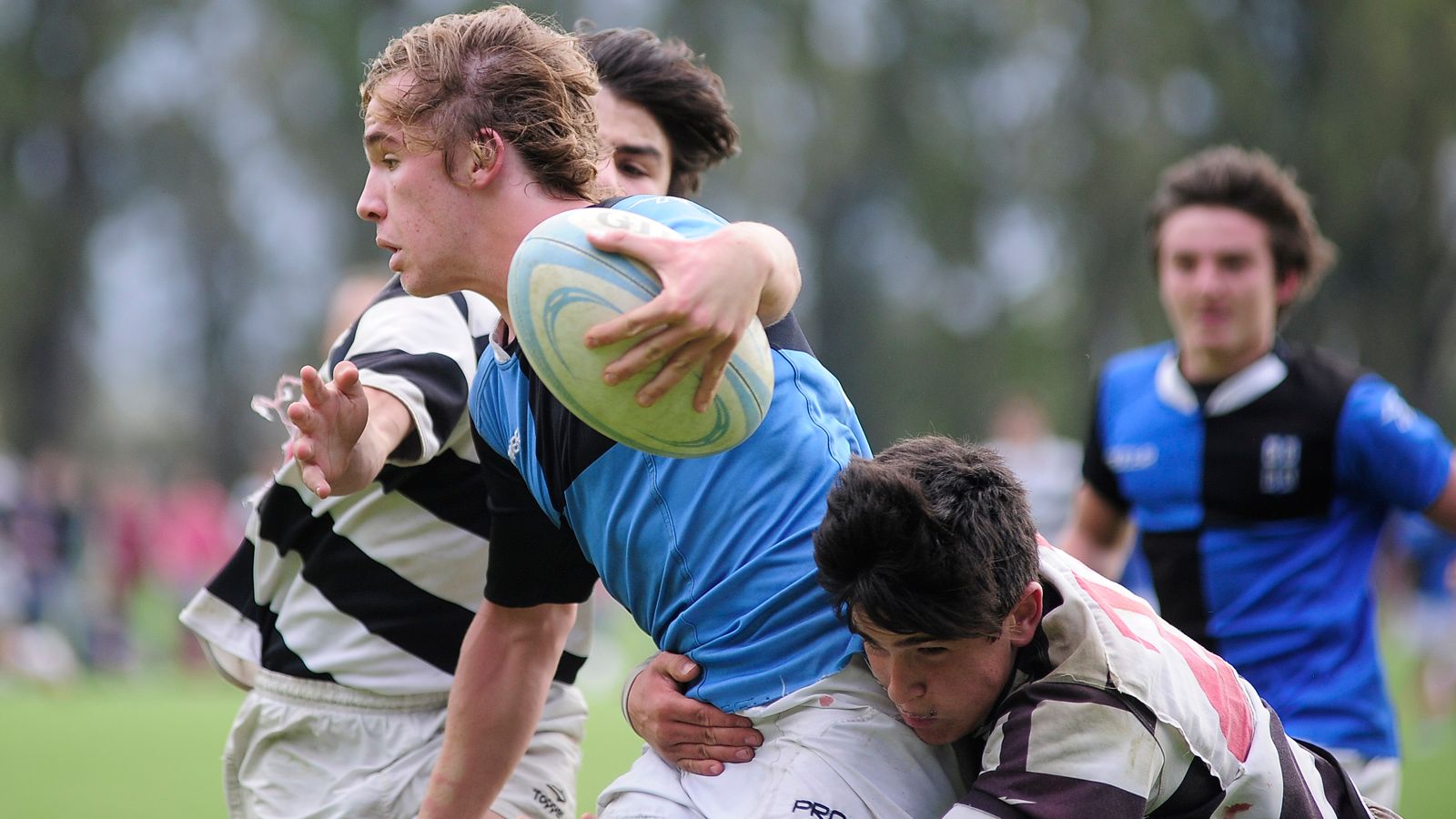 M�S QUE ACAD�MICO, UNIVERSITARIO