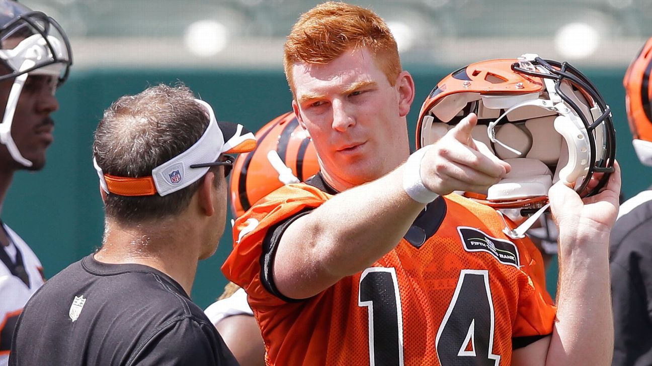 Bengals give Andy Dalton new nickname for offseason: 'The Interpreter'