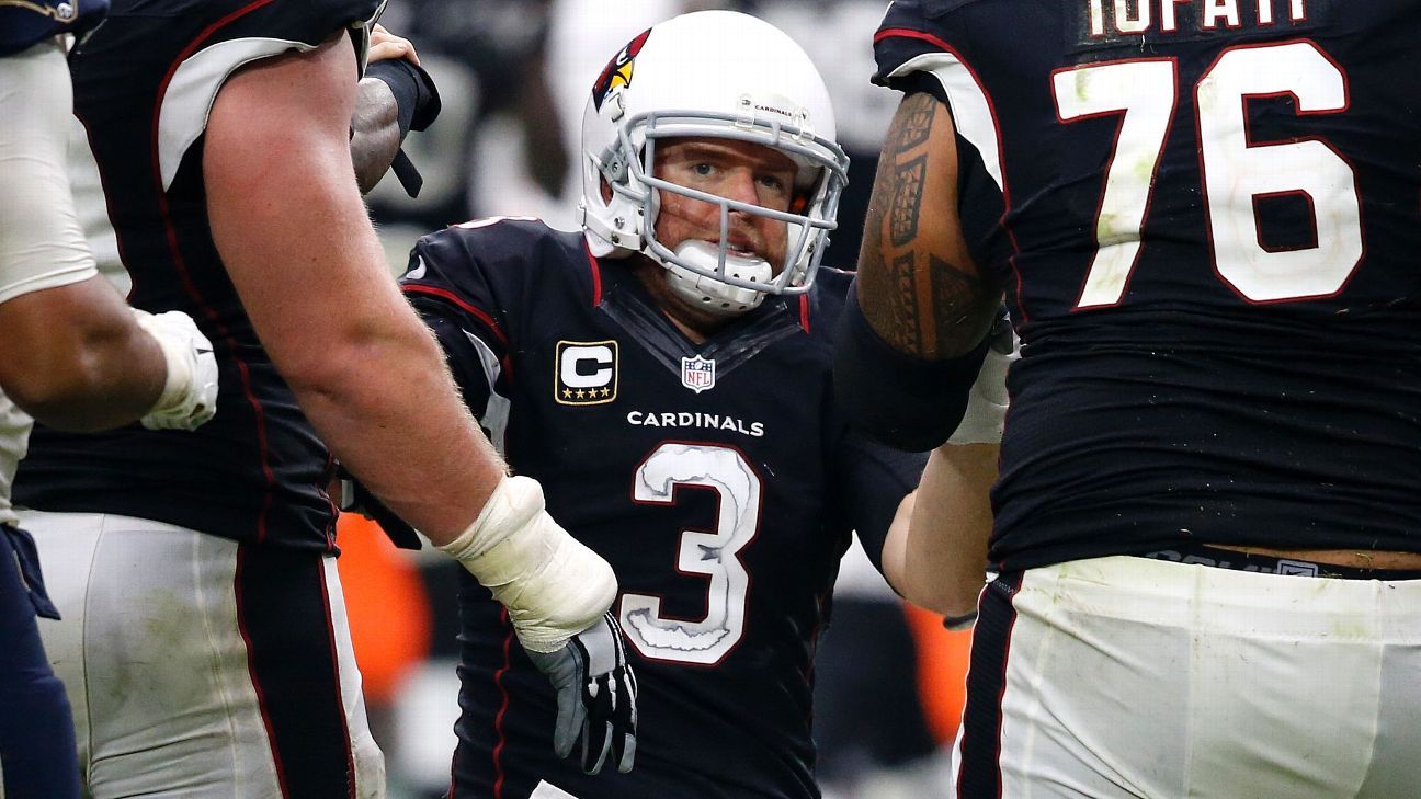 Arians: Palmer likely to pass concussion protocol
