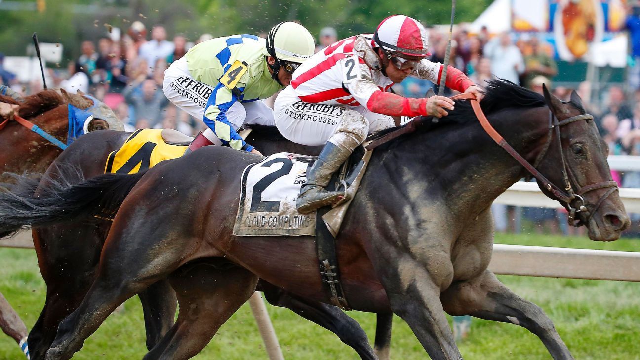 Cloud Computing Wins 142nd Preakness Stakes At Pimlico