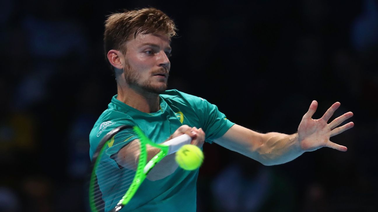 Goffin volverá a la competencia en Miami