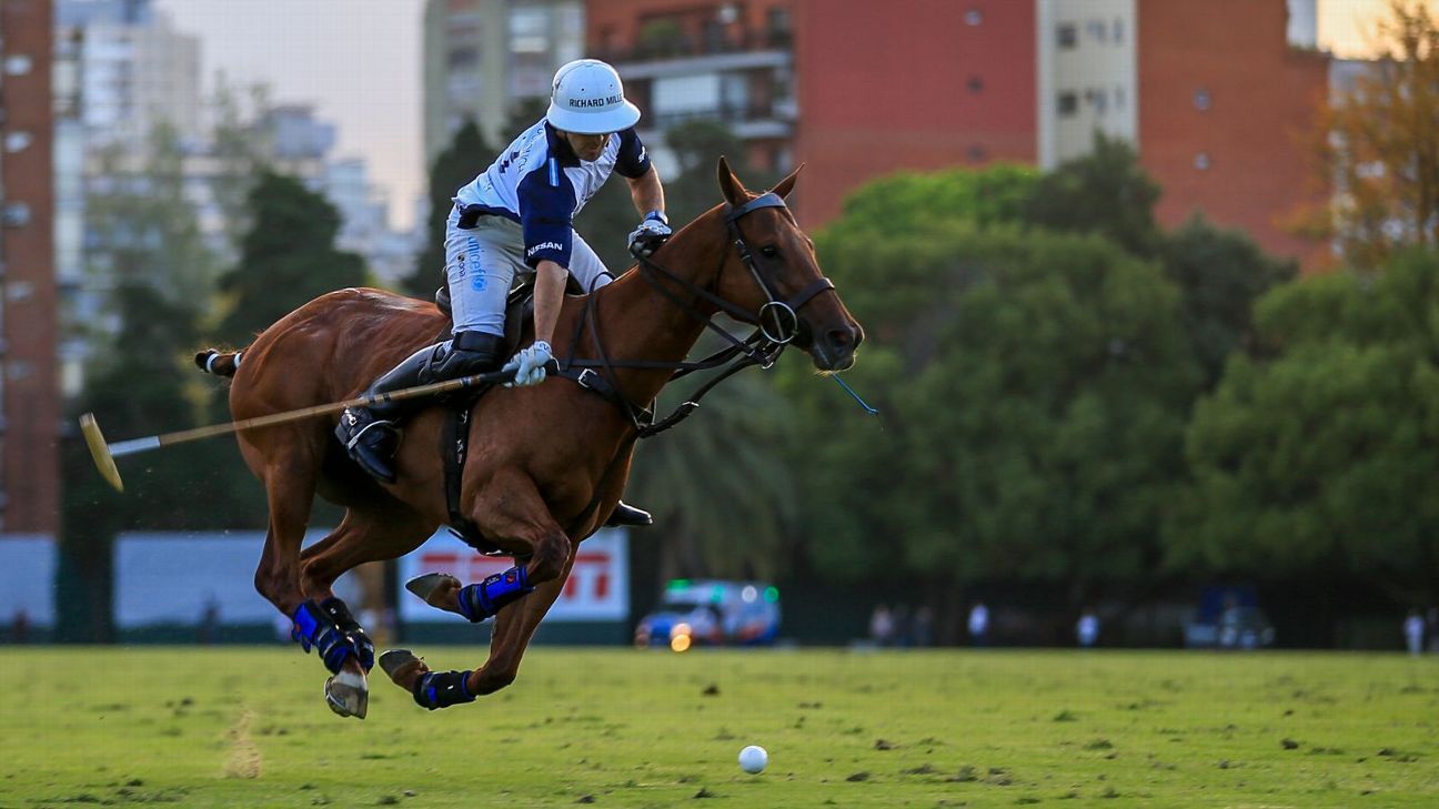 LA DOLFINA 16 - 13 ELLERSTINA