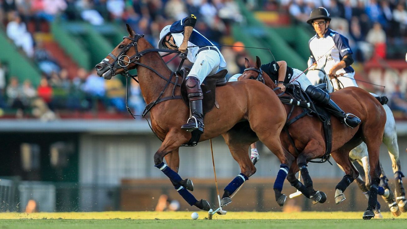 LA DOLFINA 16 - 13 ELLERSTINA