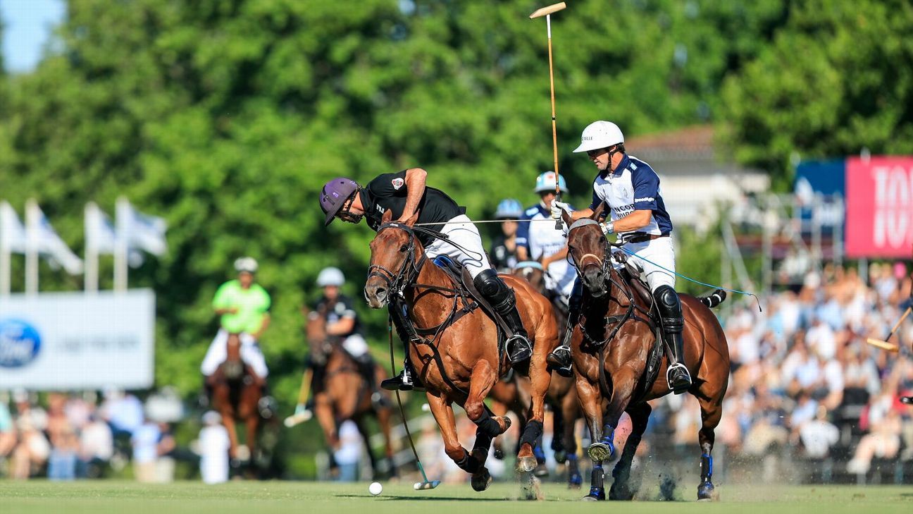 ELLERSTINA 12  11 LA DOLFINA