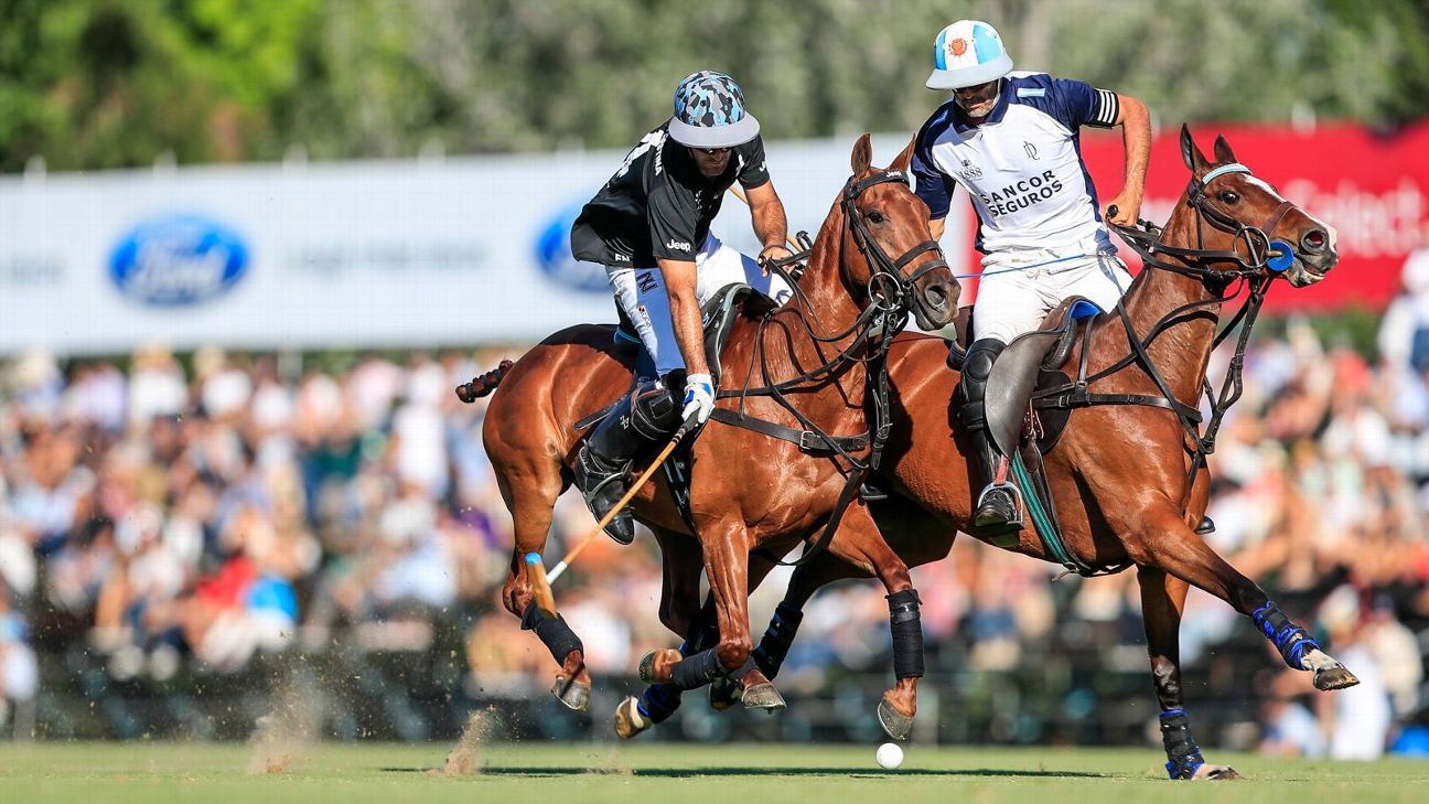 ELLERSTINA 12  11 LA DOLFINA