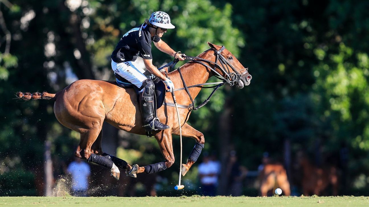 ELLERSTINA 12  11 LA DOLFINA