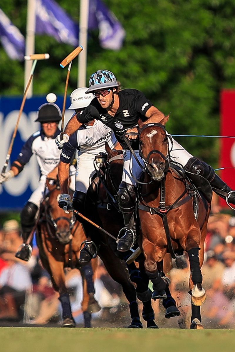 ELLERSTINA 12  11 LA DOLFINA