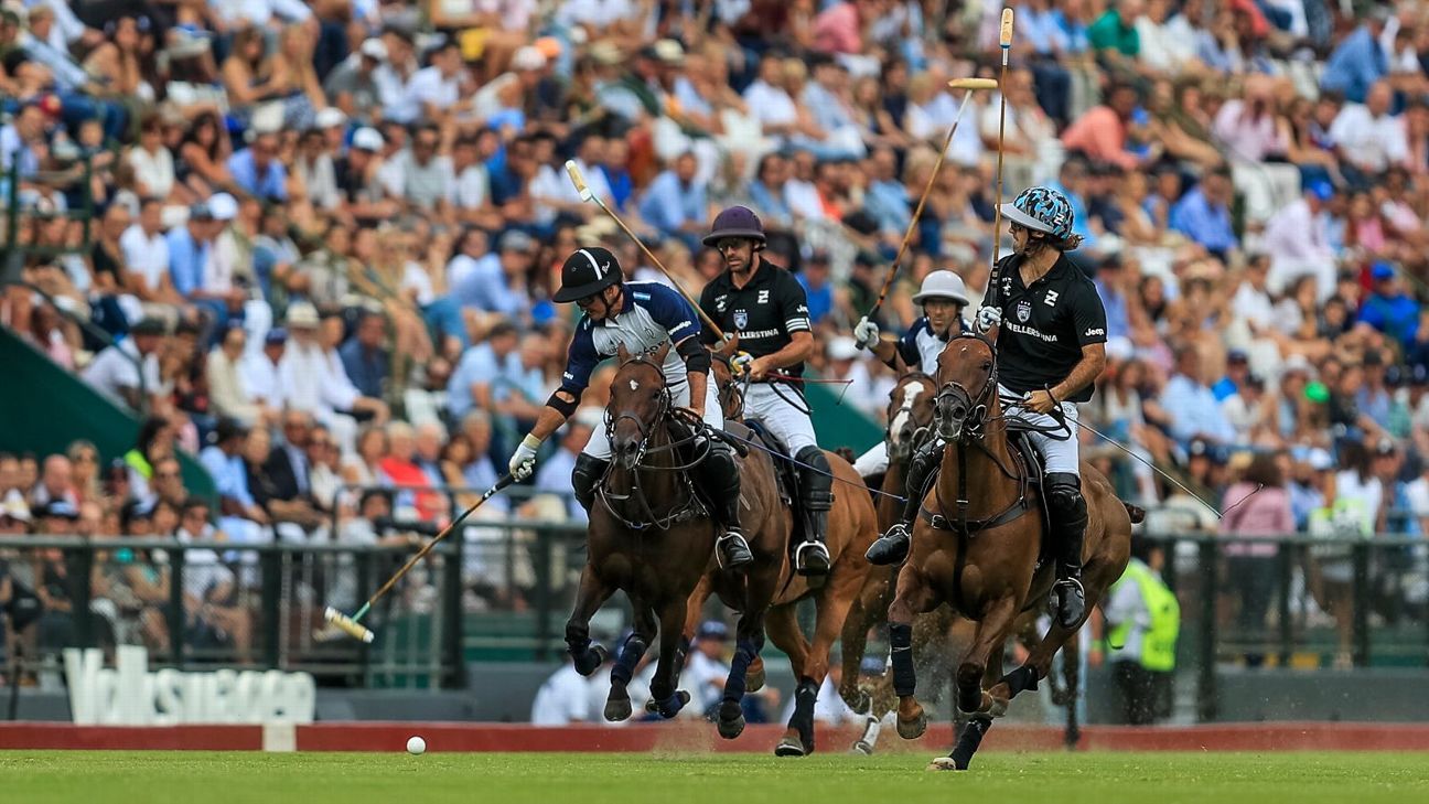 LA DOLFINA 16 - 12 ELLERSTINA