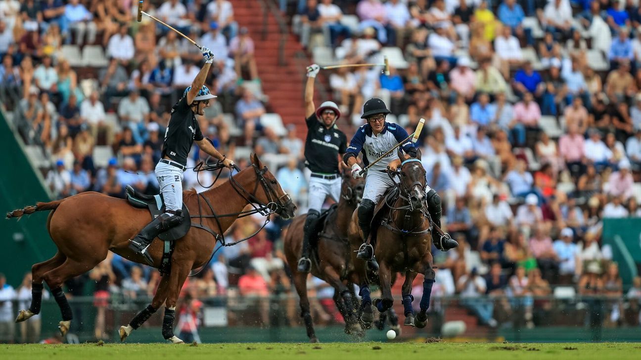LA DOLFINA 16 - 12 ELLERSTINA
