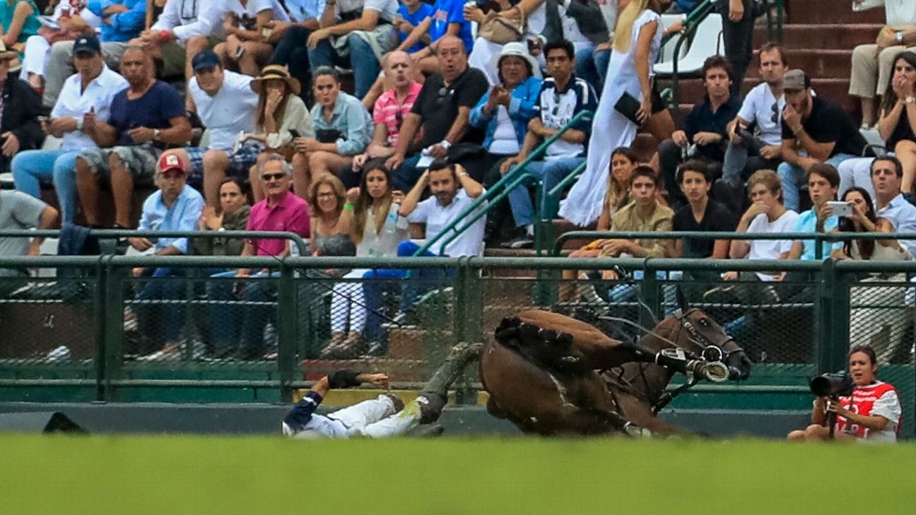 LA DOLFINA 16 - 12 ELLERSTINA
