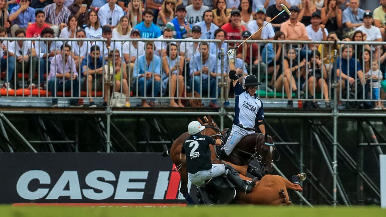 LA DOLFINA 16 - 12 ELLERSTINA