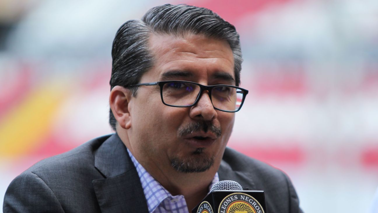 Leones Negros no son considerados en mesas de trabajo para crear Liga de Desarrollo