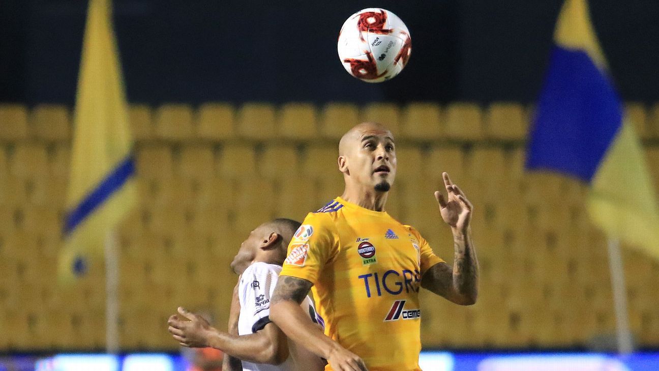 Luis Rodríguez asegura Tigres dará de que hablar en el Apertura 2020