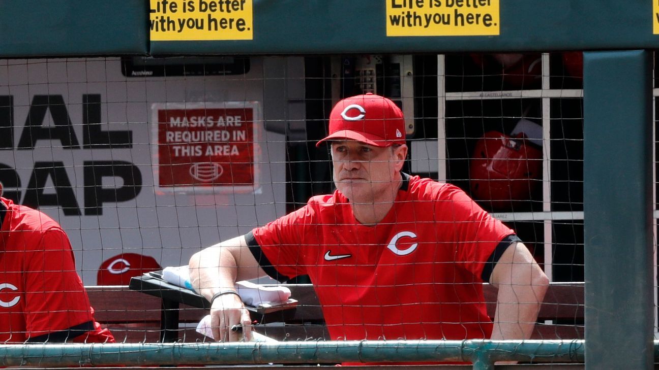 Reds manager David Bell out due to minor medical procedure