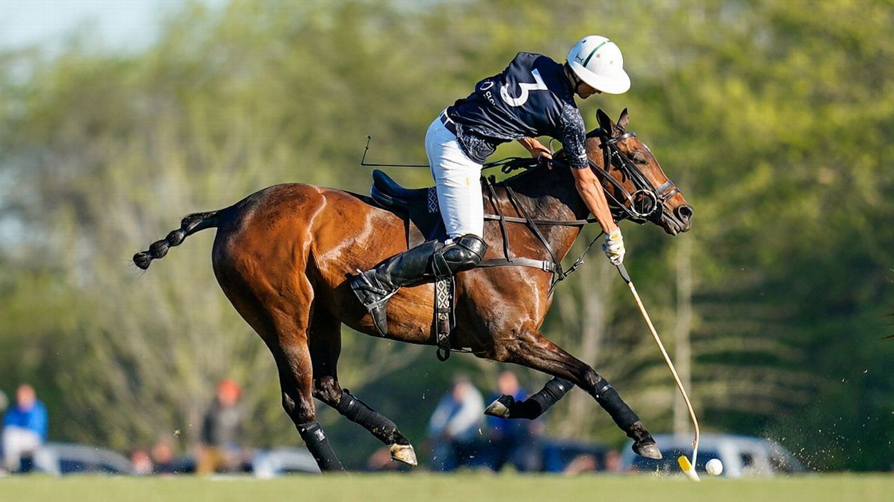 LA ENSENADA 12 - 10 LA NATIVIDAD