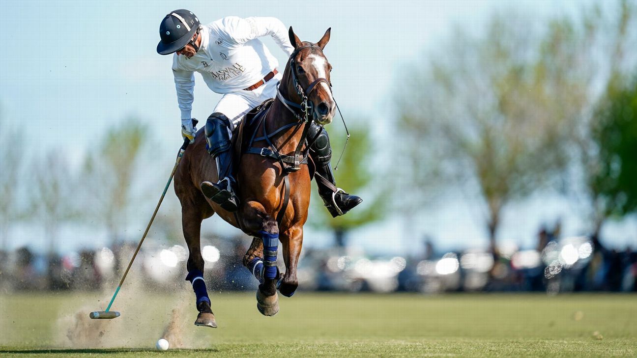 LA DOLFINA 15 - 8 LA DOLFINA BRAVA