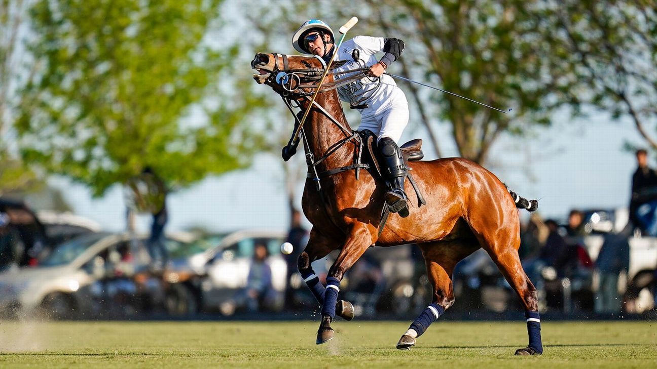 ProFocus/Fernando S�nchez Checa