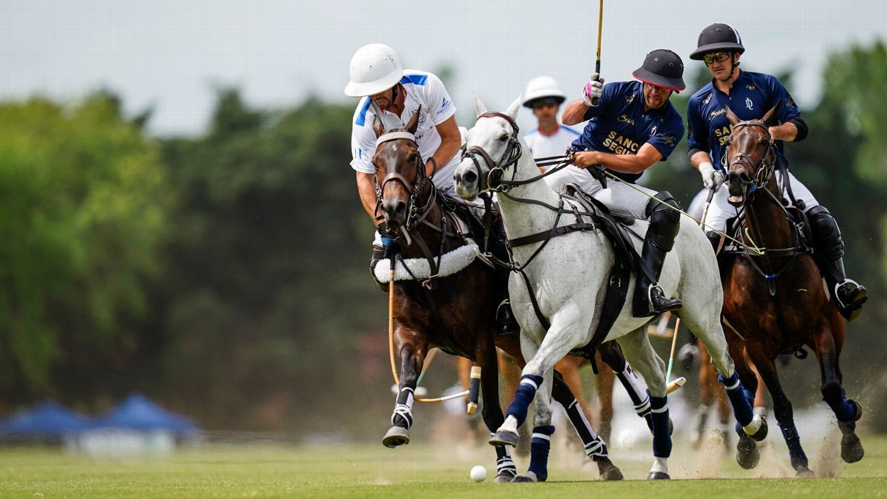 LA DOLFINA 11 - 10 RS MURUS SANCTUS