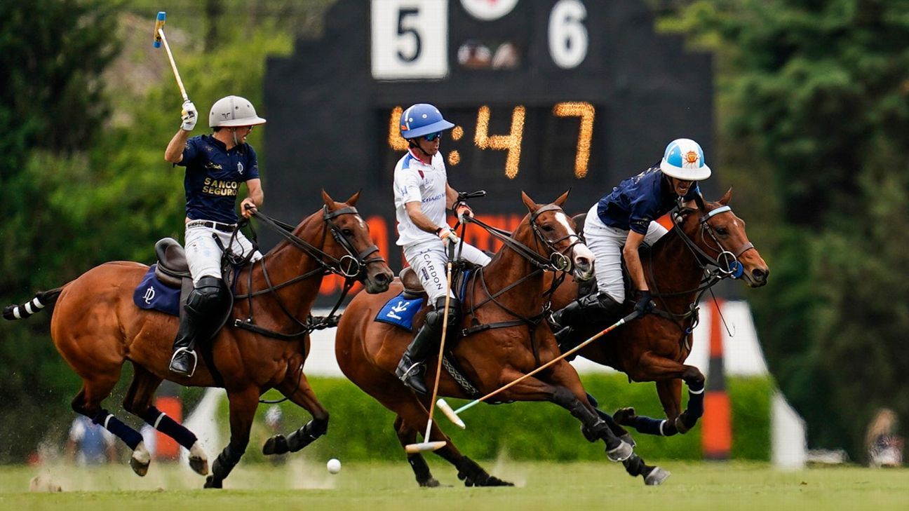 LA DOLFINA 11 - 10 RS MURUS SANCTUS