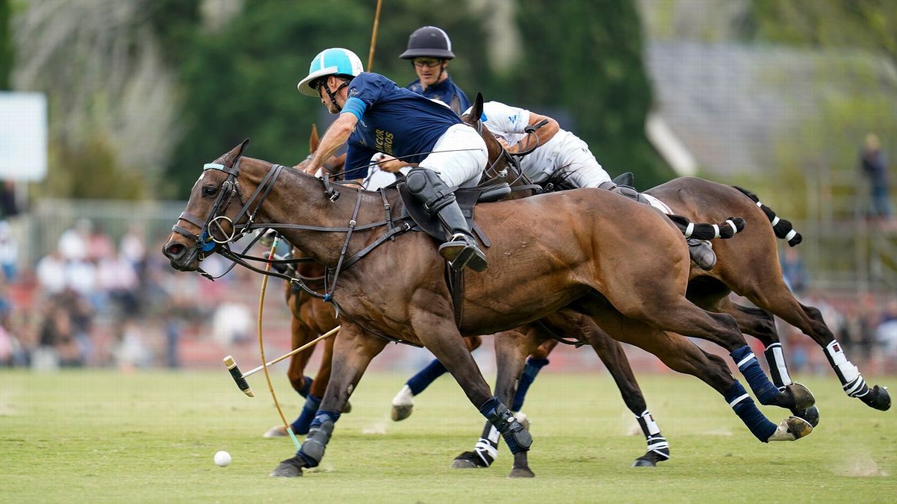 LA DOLFINA 11 - 10 RS MURUS SANCTUS