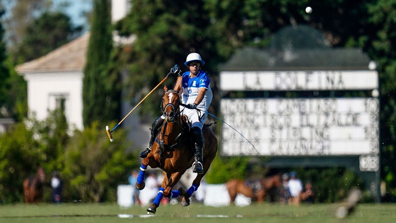 ELLERSTINA 11 - 9 LA DOLFINA
