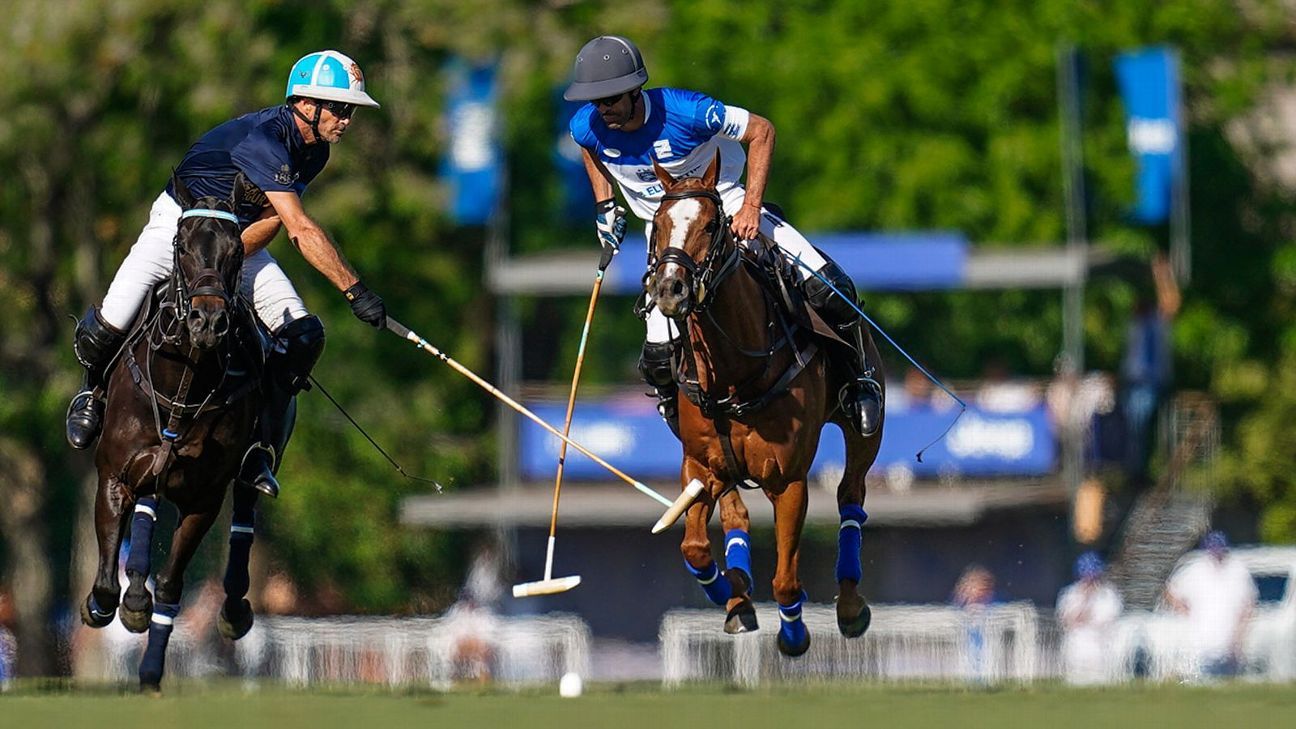 ELLERSTINA 11 - 9 LA DOLFINA