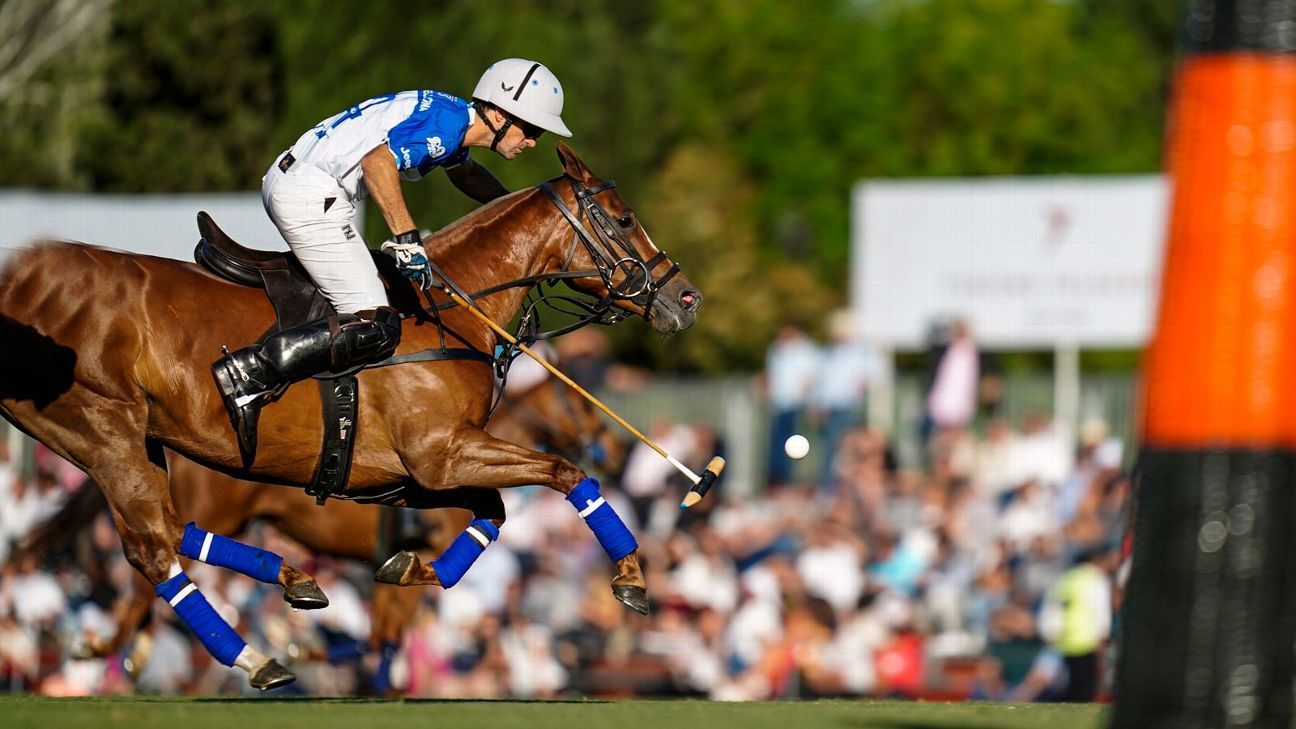 ELLERSTINA 11 - 9 LA DOLFINA