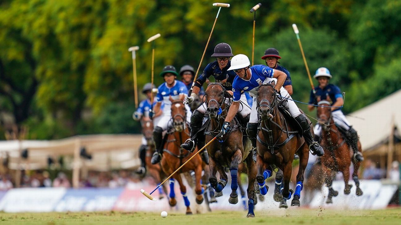 LA DOLFINA 16 - 14 ELLERSTINA