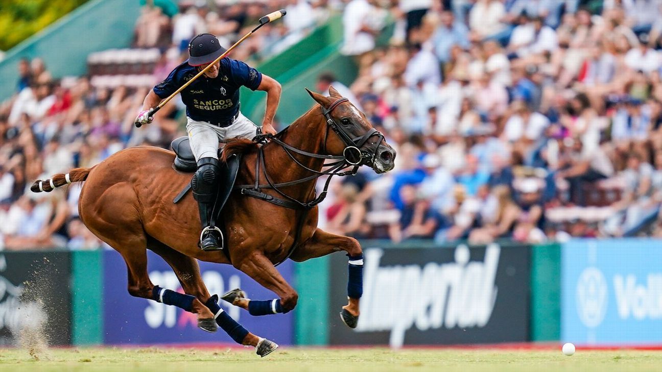 LA DOLFINA 16 - 14 ELLERSTINA