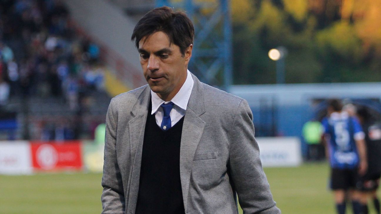 César Vigevani acknowledged contacts with the University of Chile.