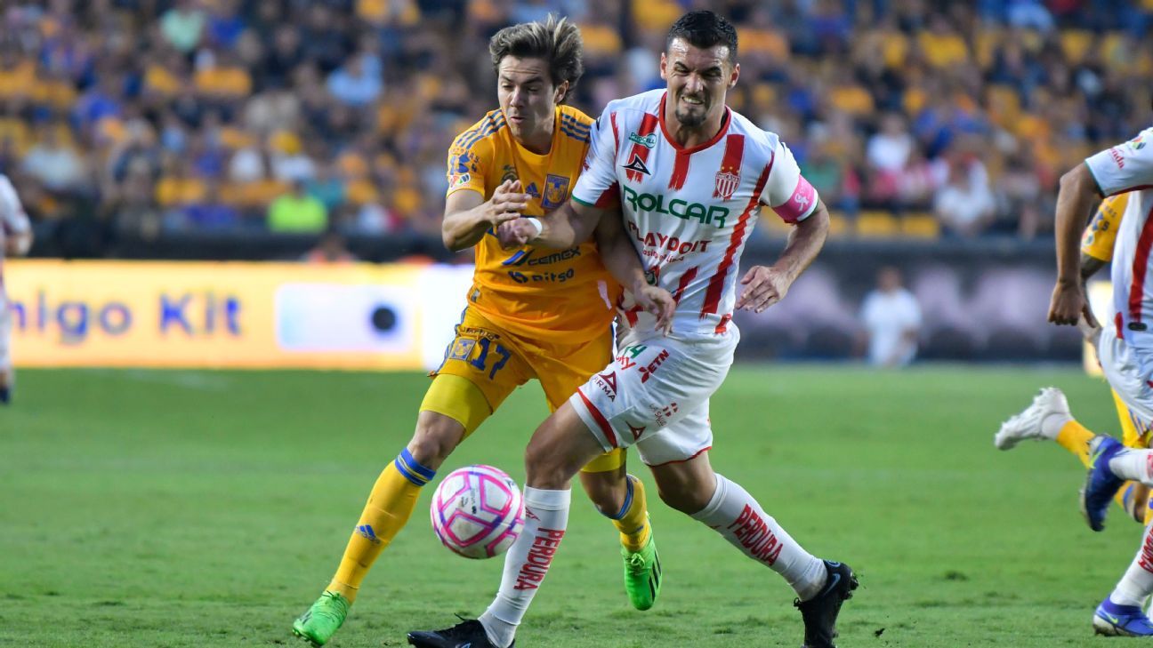 Felipe Ramos Rizo points out that a favorable penalty was not called for Tigres.