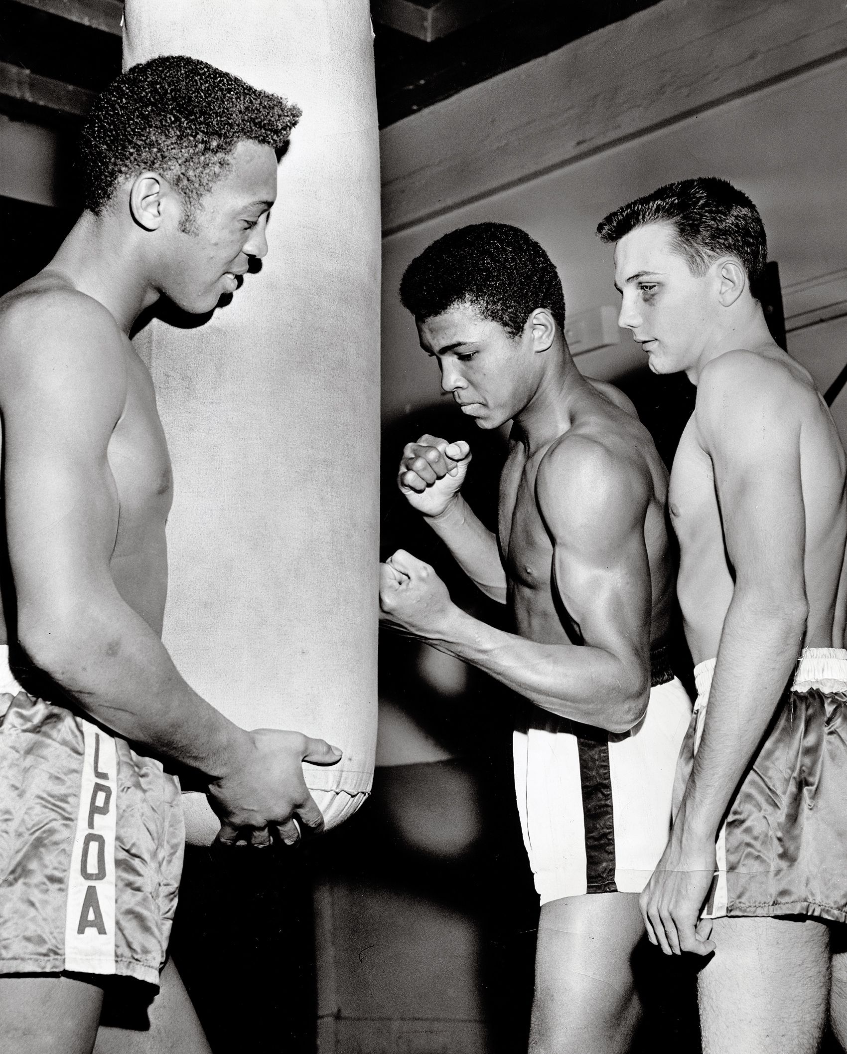 MUHAMMAD ALI 1942 - 2016