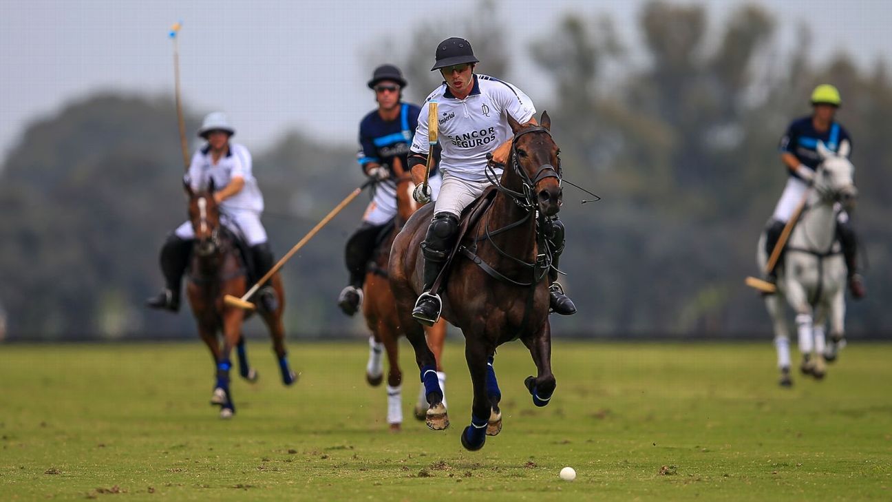LA DOLFINA POLO RANCH 14  LA ESQUINA 6