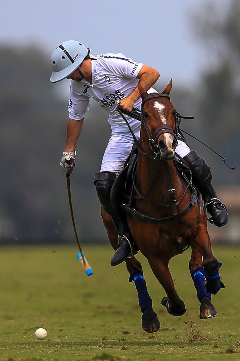 LA DOLFINA POLO RANCH 14  LA ESQUINA 6