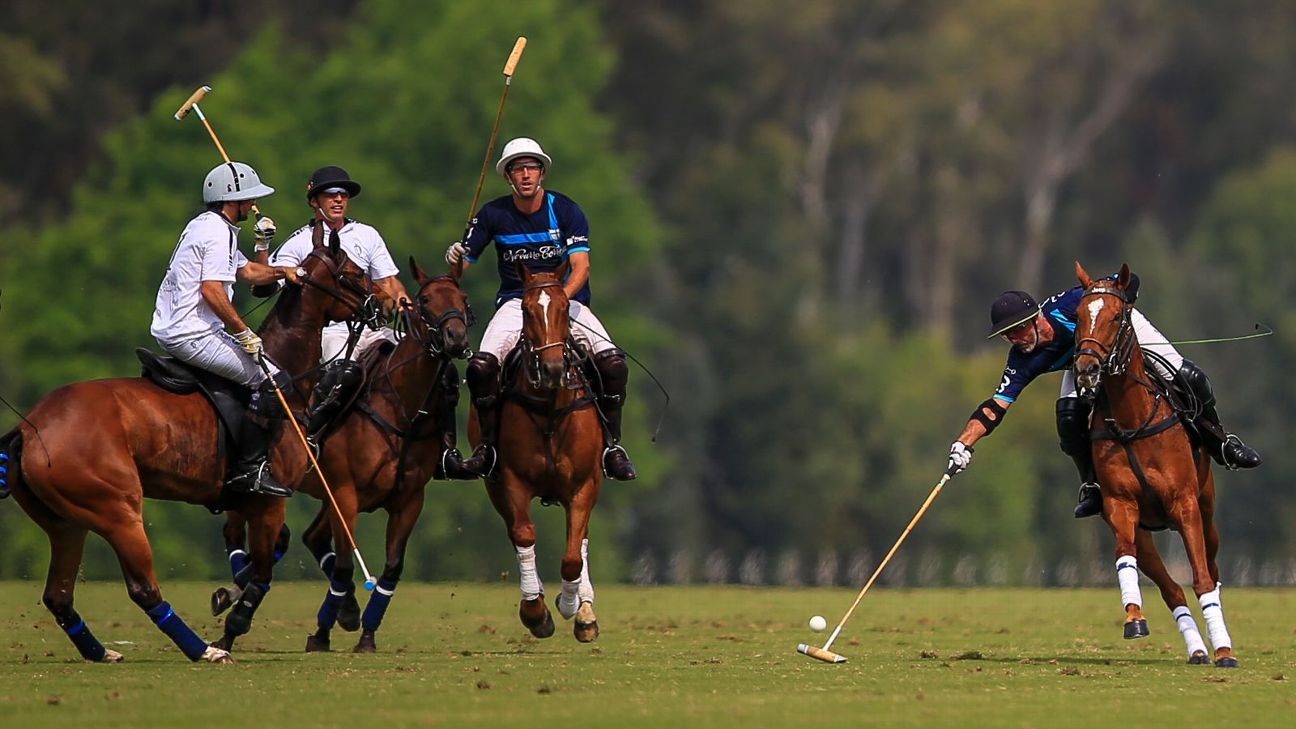 LA DOLFINA POLO RANCH 14  LA ESQUINA 6