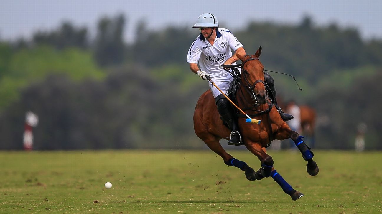 LA DOLFINA POLO RANCH 14  LA ESQUINA 6
