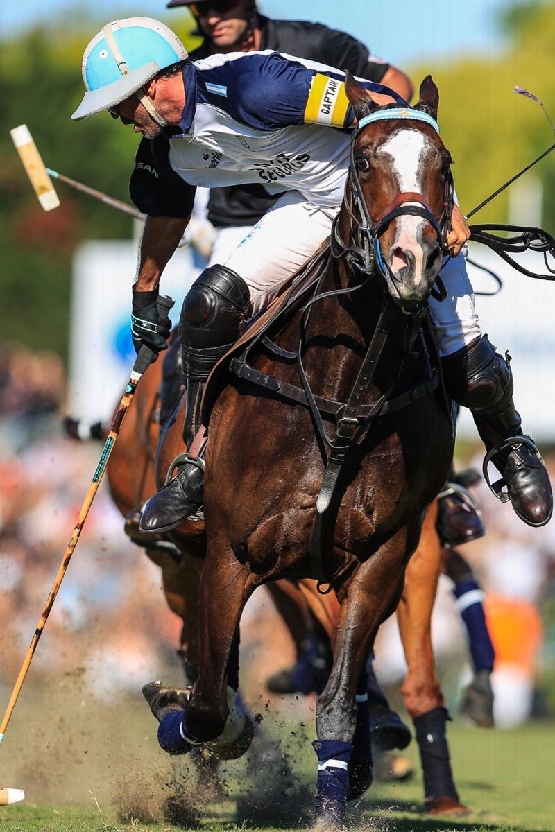 LA DOLFINA 11  ELLERSTINA 9