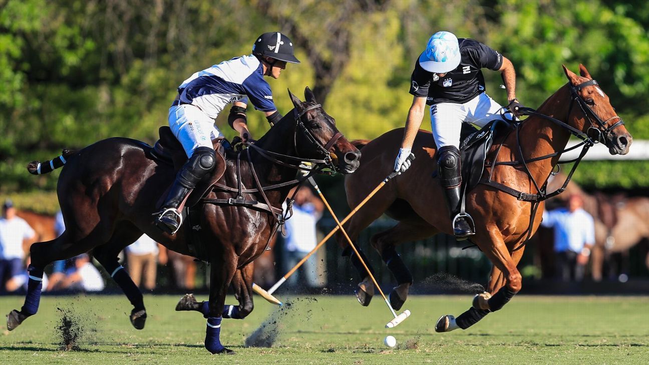 LA DOLFINA 11  ELLERSTINA 9
