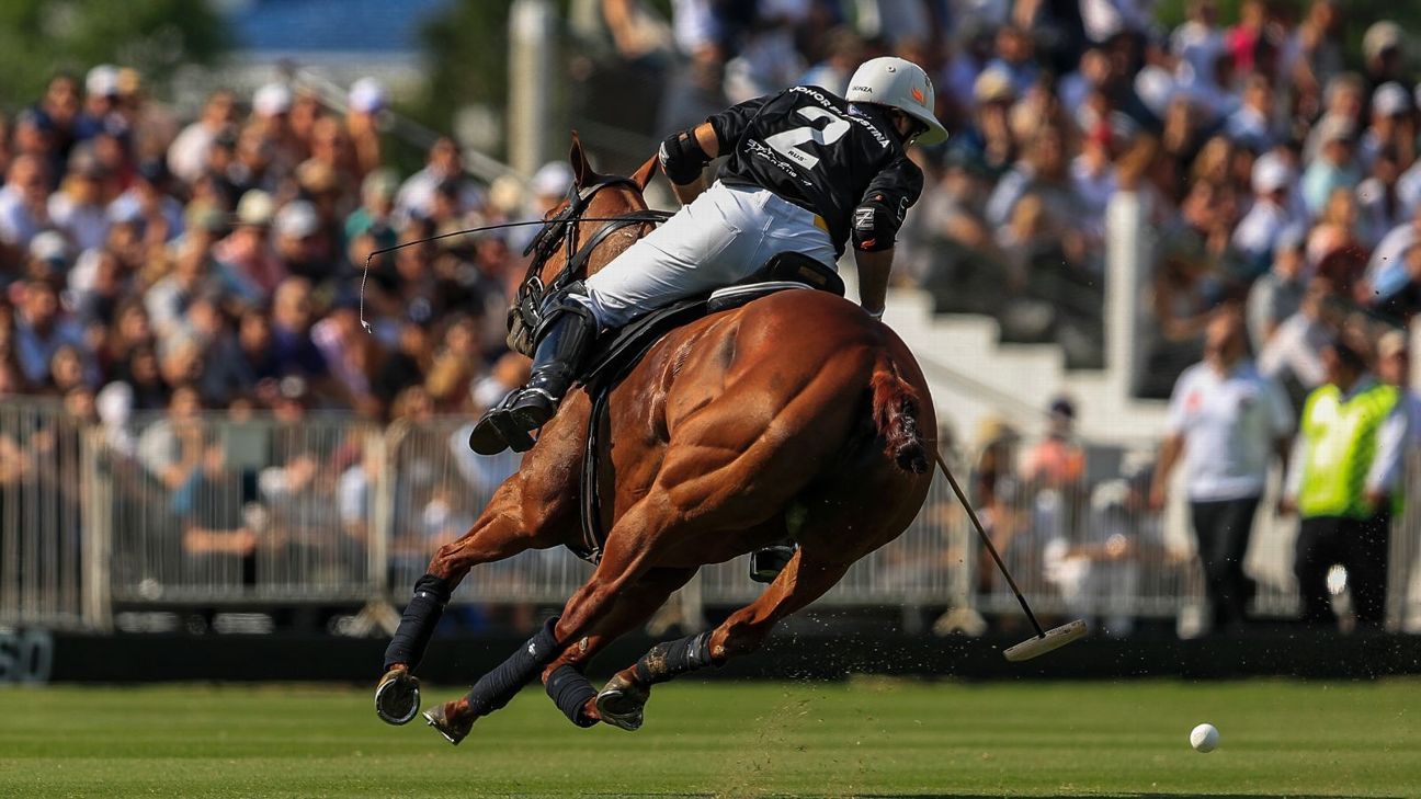 ELLERSTINA 12  LA DOLFINA 11