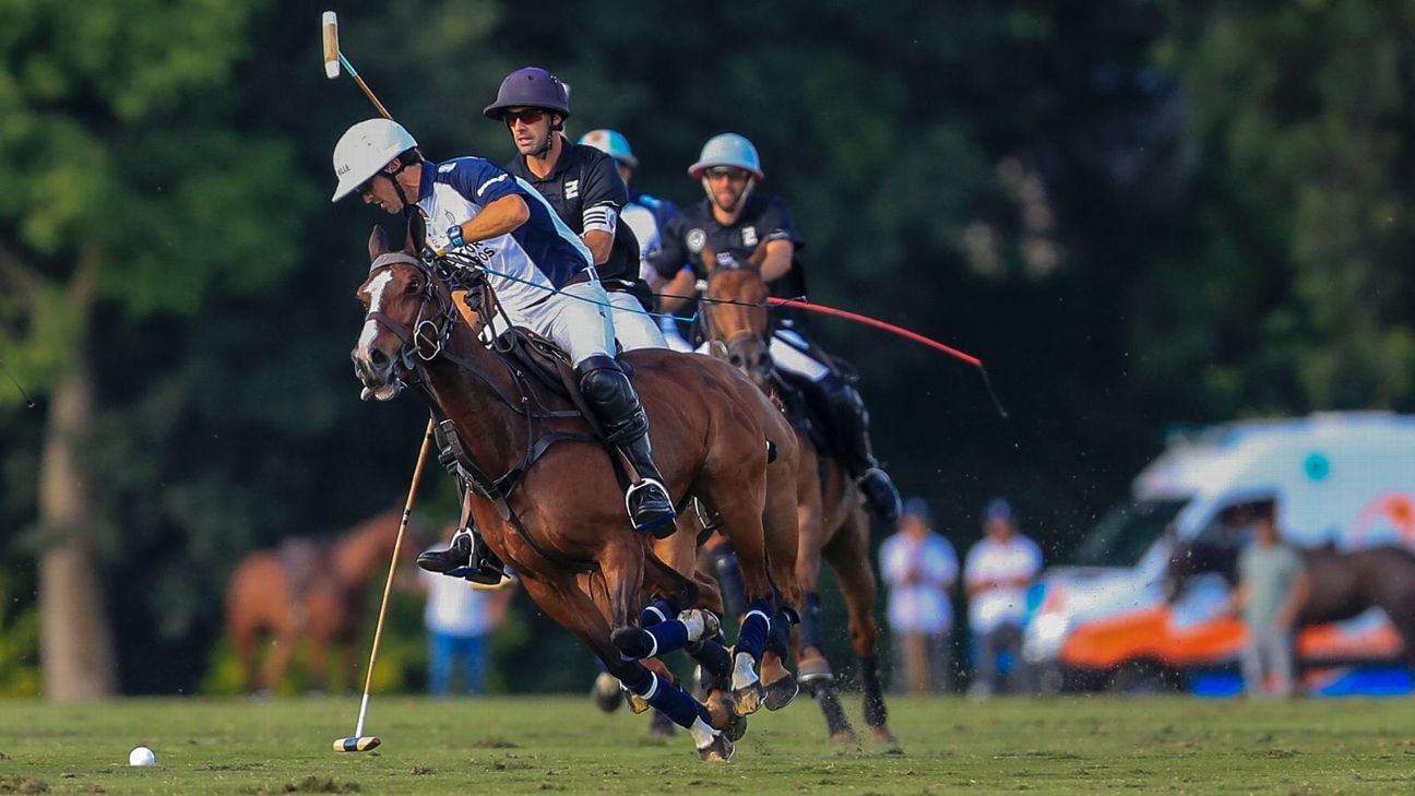 ELLERSTINA 12  LA DOLFINA 11
