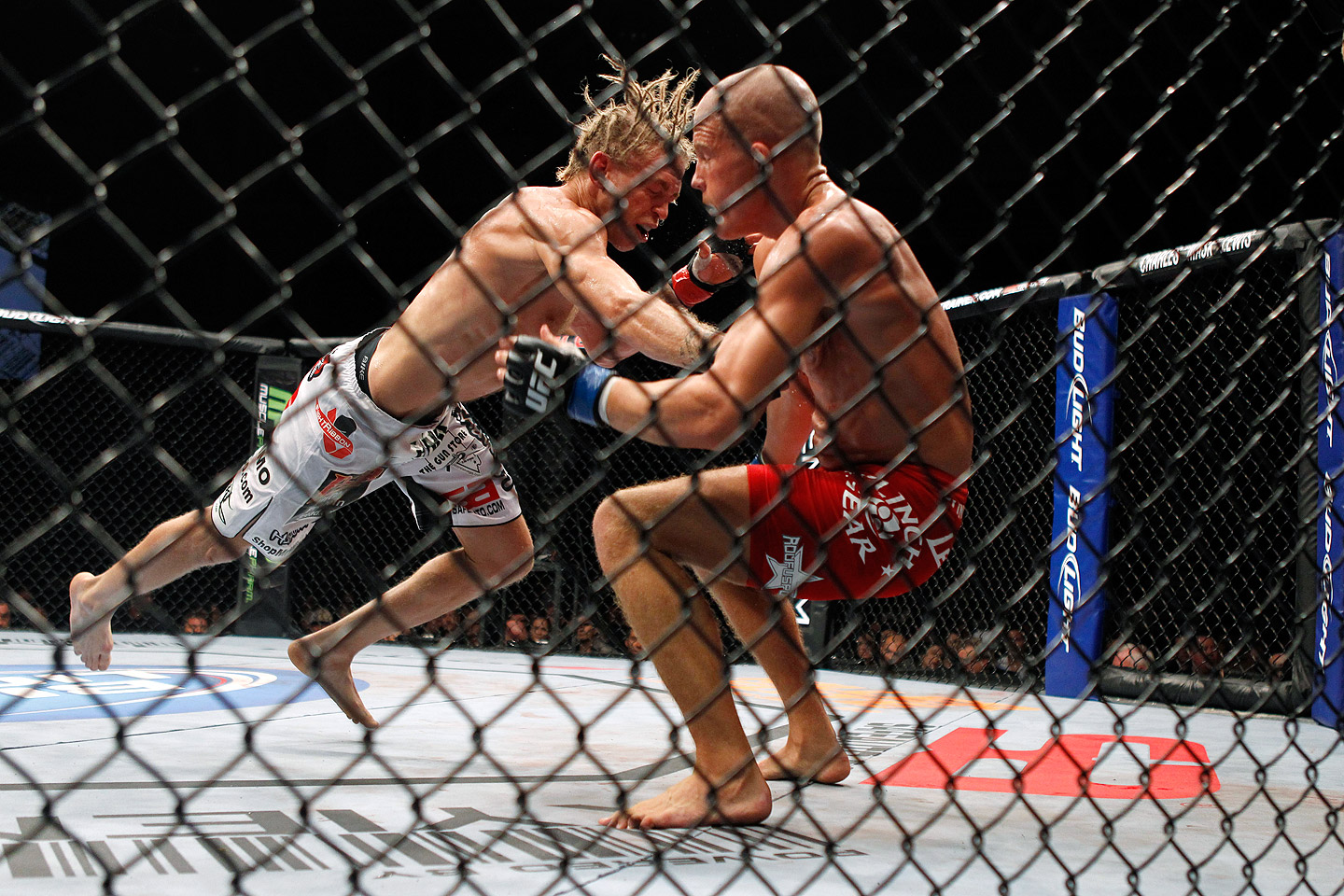 Best Mma Pictures