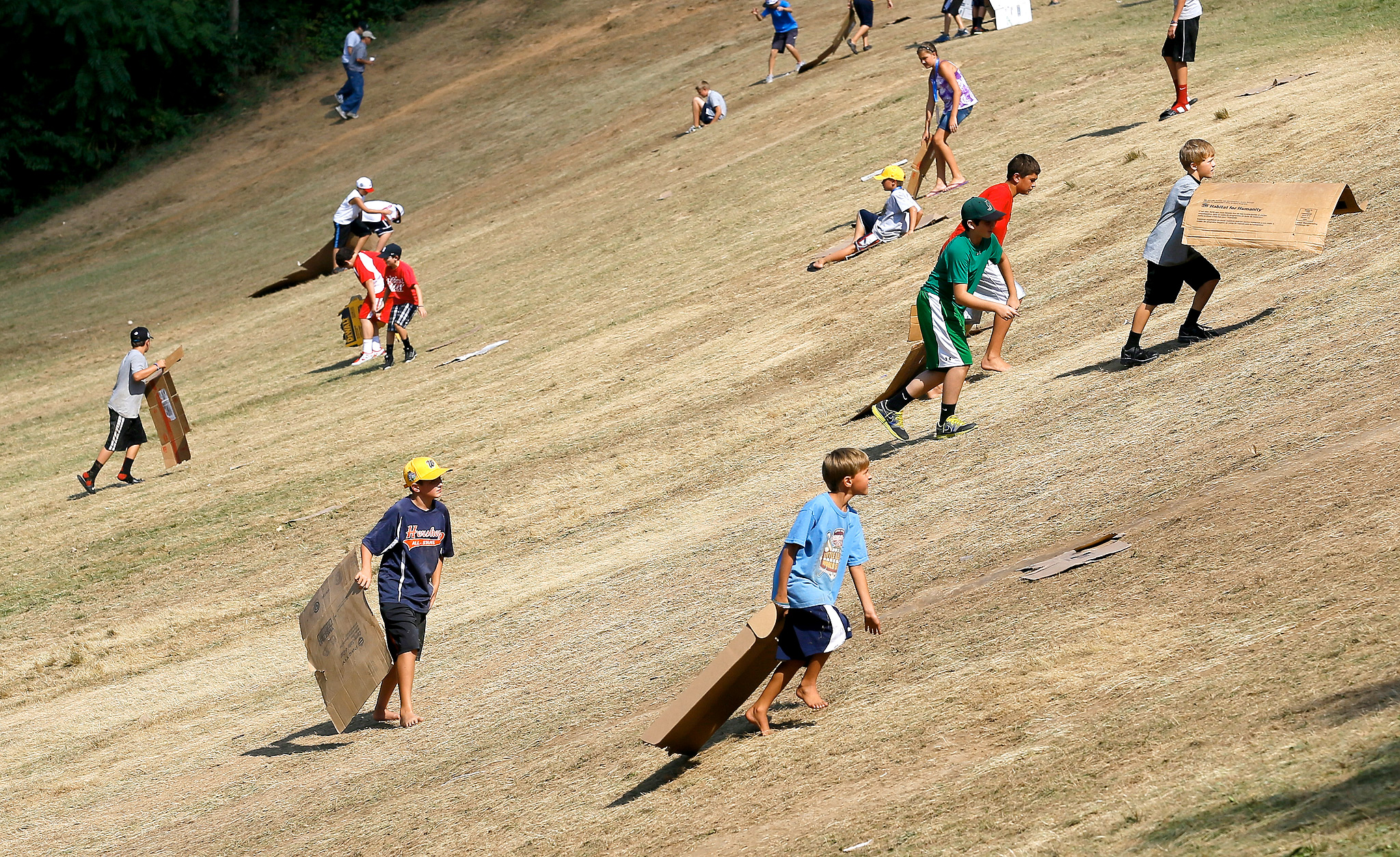Little League World Series