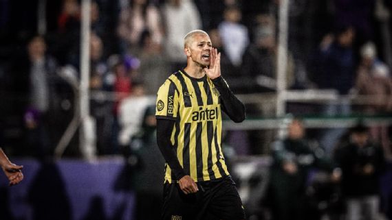 cohelo repunto en defensa