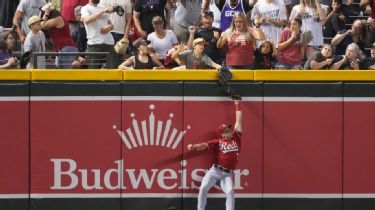 Child moved from seat at Diamondbacks game after fan interference on  potential Tommy Pham home run