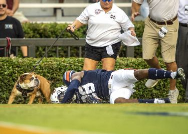 When a Georgia football game was interrupted by my dog on the